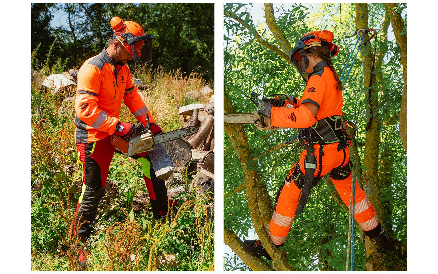 travaux forestiers avant l’hiver